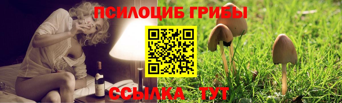 Псилоцибиновые грибы MAGIC MUSHROOMS  Псилоцибиновые грибы Psilocybe  Подольск  закладка  Вход с VPN 